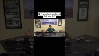 Deadly Night Jig Setup for Bluefin Tuna #BluefinTuna #NightFishing #Jigging #TunaJigging